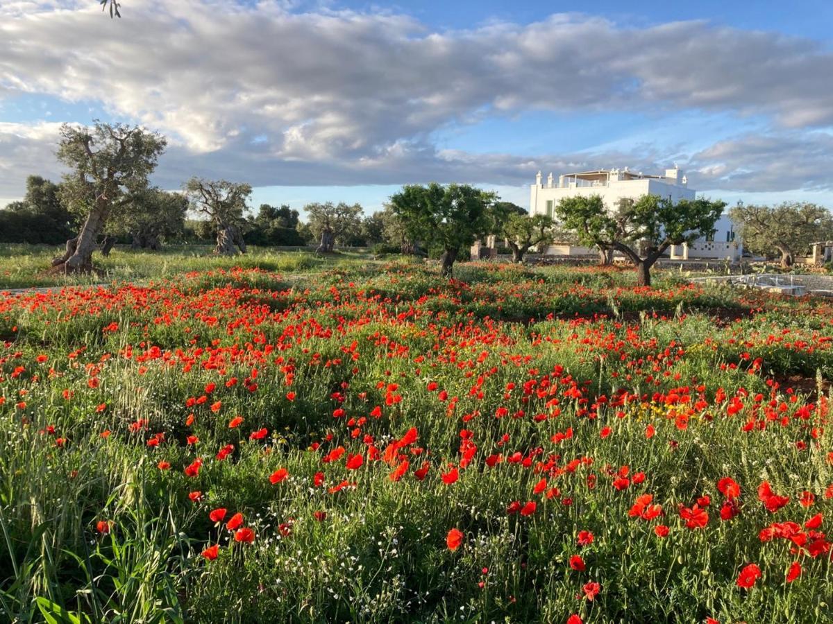 Boutique Hotel Masseria Sottomasi Савеллетри Экстерьер фото