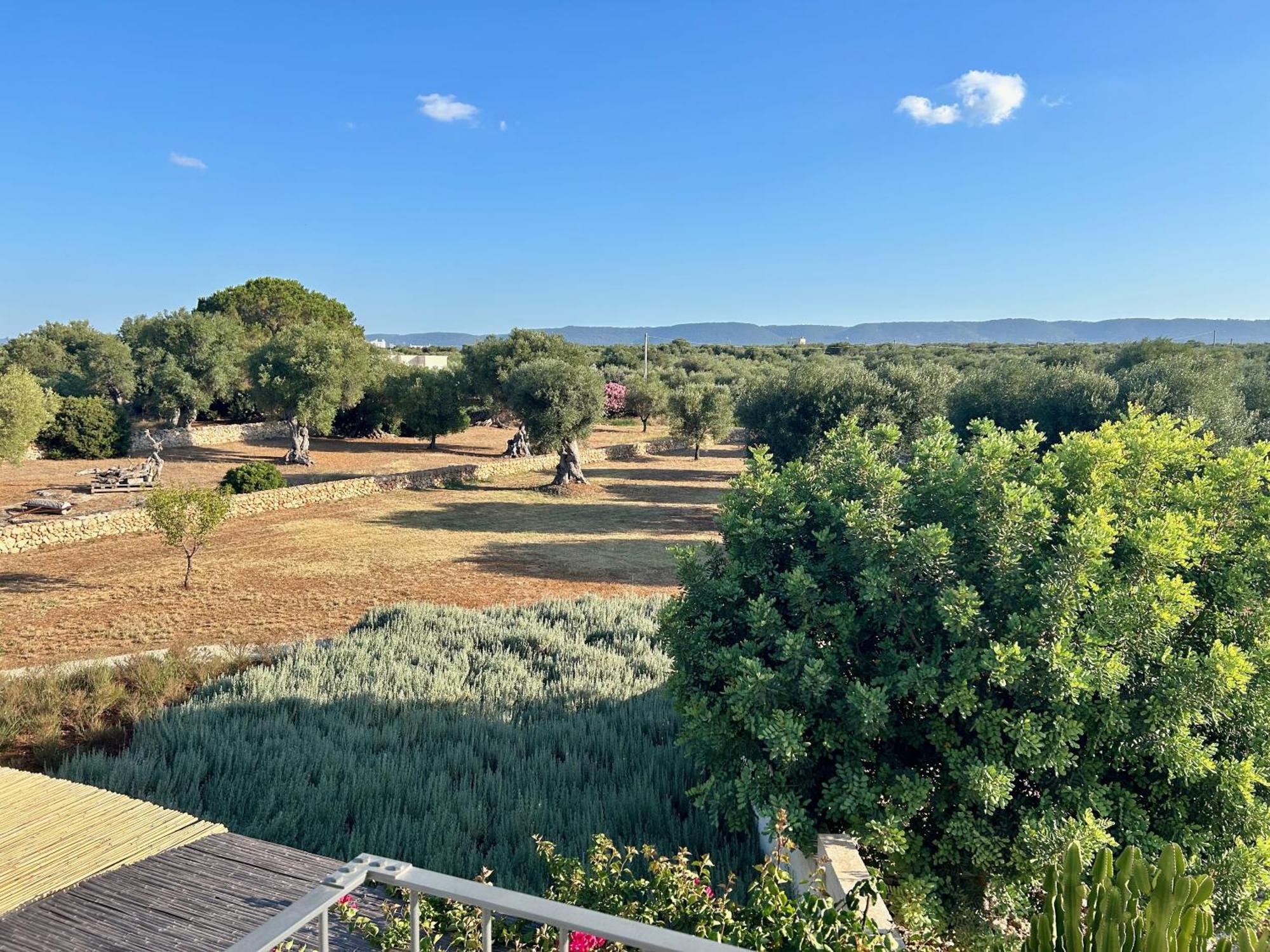 Boutique Hotel Masseria Sottomasi Савеллетри Экстерьер фото