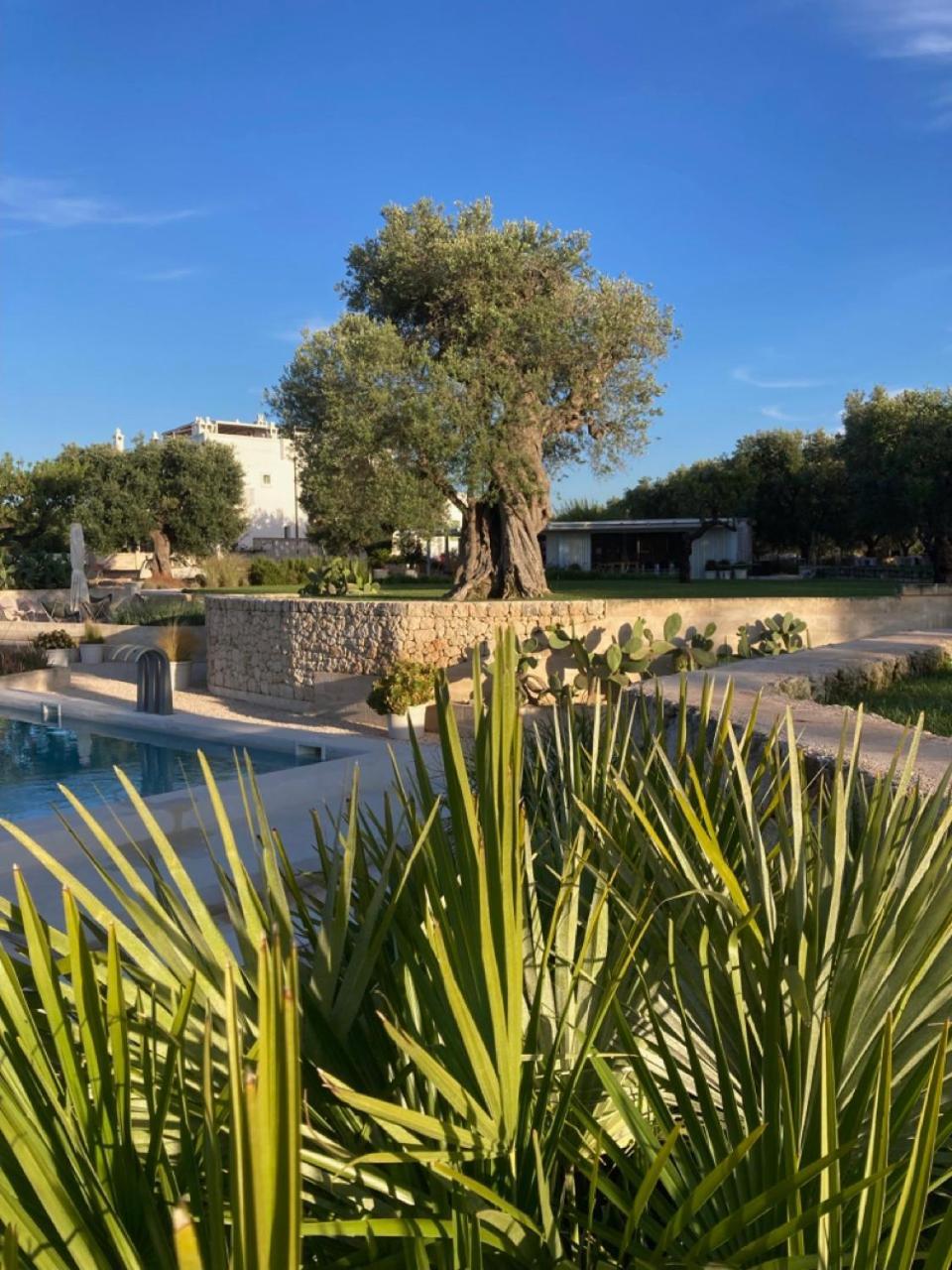 Boutique Hotel Masseria Sottomasi Савеллетри Экстерьер фото