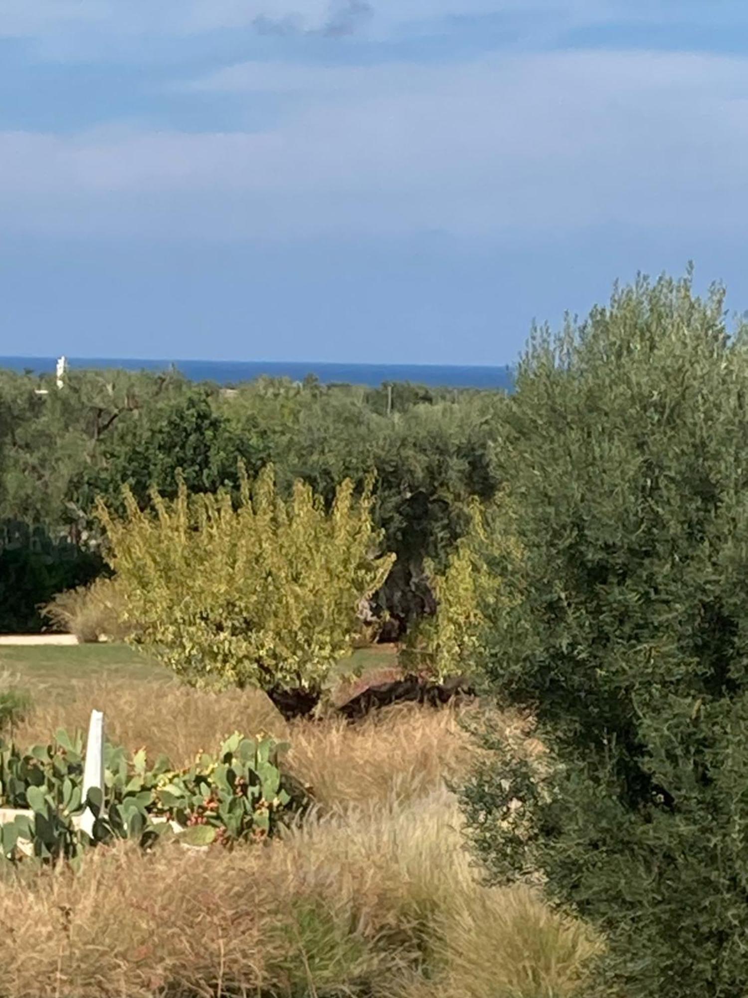 Boutique Hotel Masseria Sottomasi Савеллетри Экстерьер фото